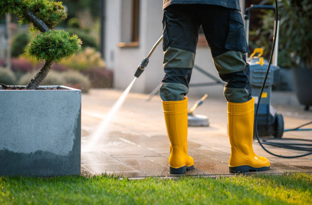 Best Roof Power Washing Services  in Huntingdon, TN